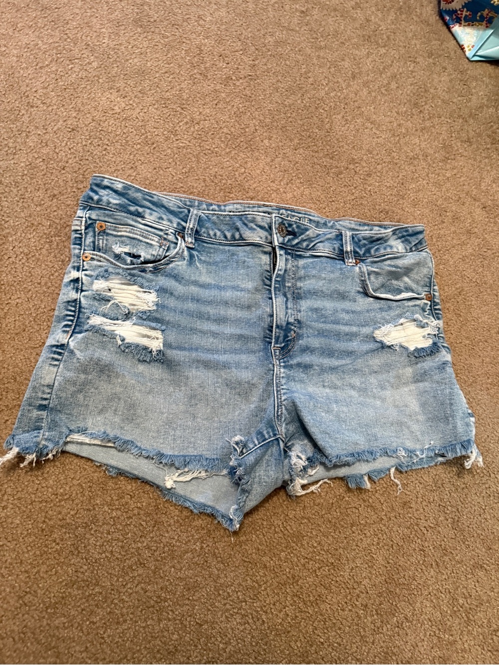 Barley Worn American Eagle Classic Light Blue Distressed Denim Shorts - Women